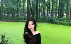 舞林大会申雪赵宏博